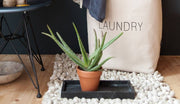 Aquanova Rocca 60x100 cm Bath Mat - Ivory