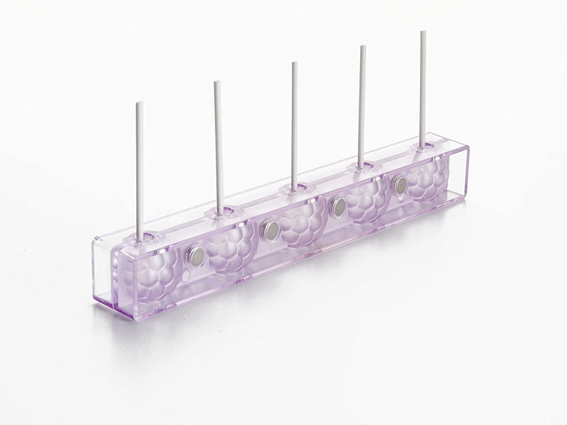 Ibili Candy Mold with 24 Sticks